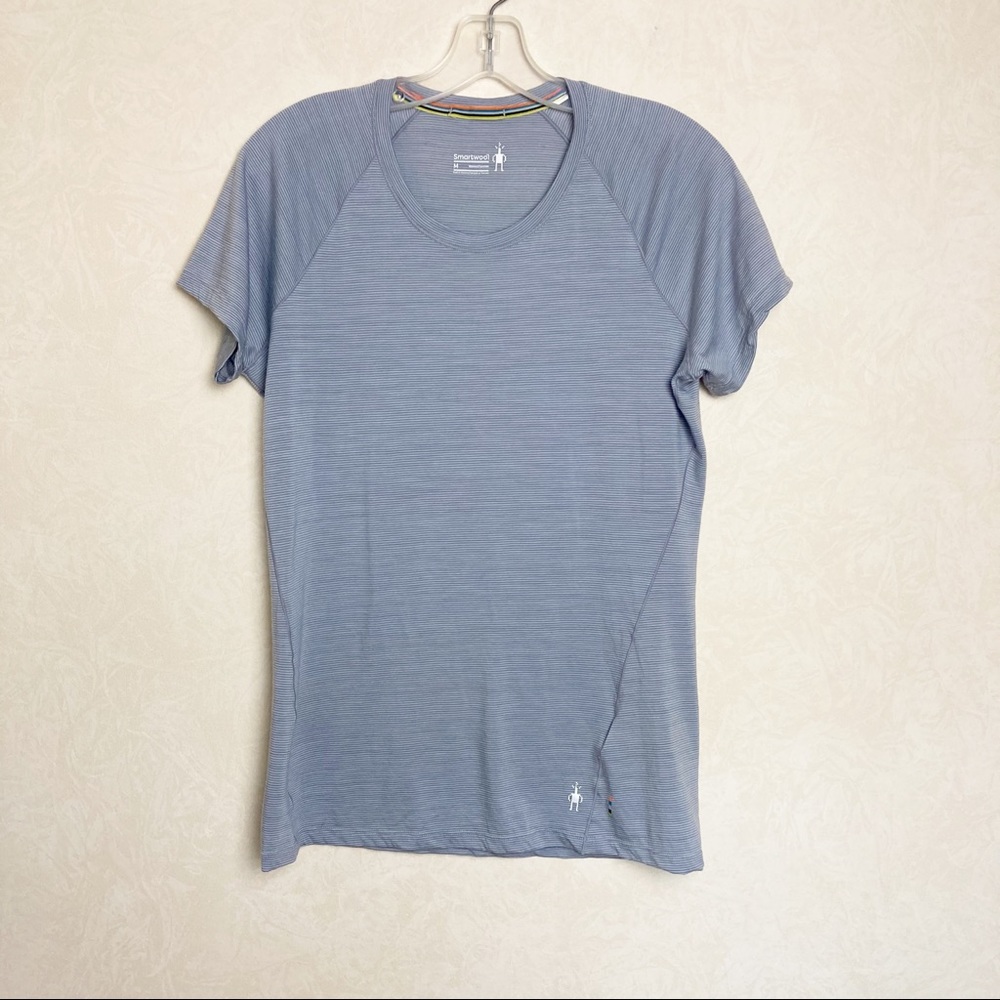 Smartwool Short Sleeve Tee Micro Stripes Blue Gray Color Women’s Size M